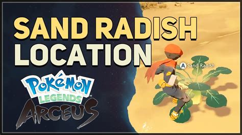 pokemon legends sand radish